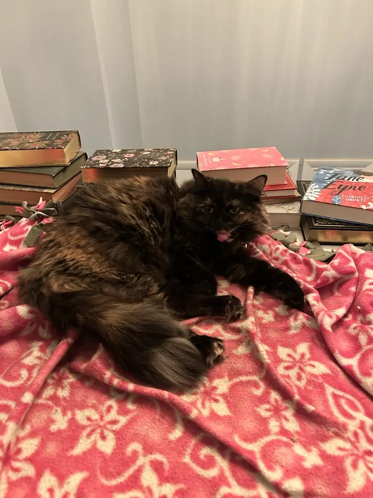 Lottie Sinkula profile pic