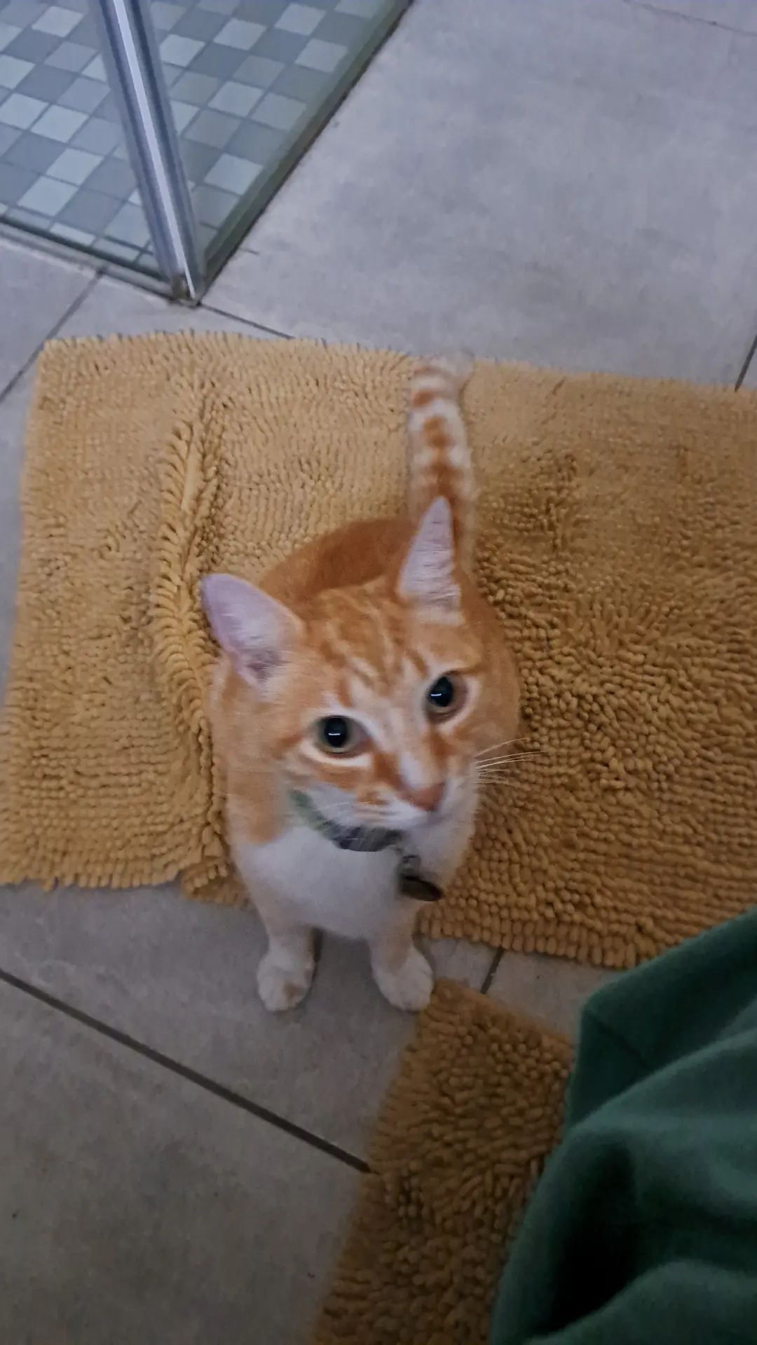 Jolandie Buck avatar