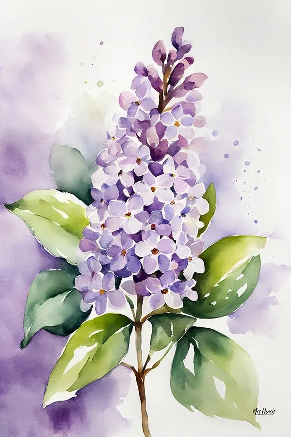 Varietea 💚🤍 profile pic