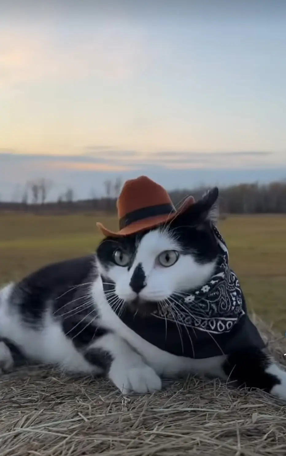 michelle james profile pic