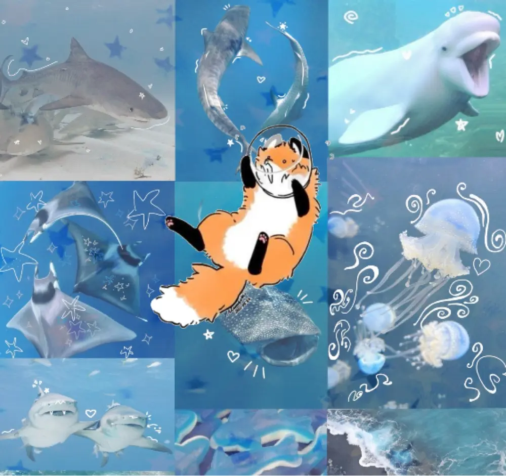 NéeaStern profile pic