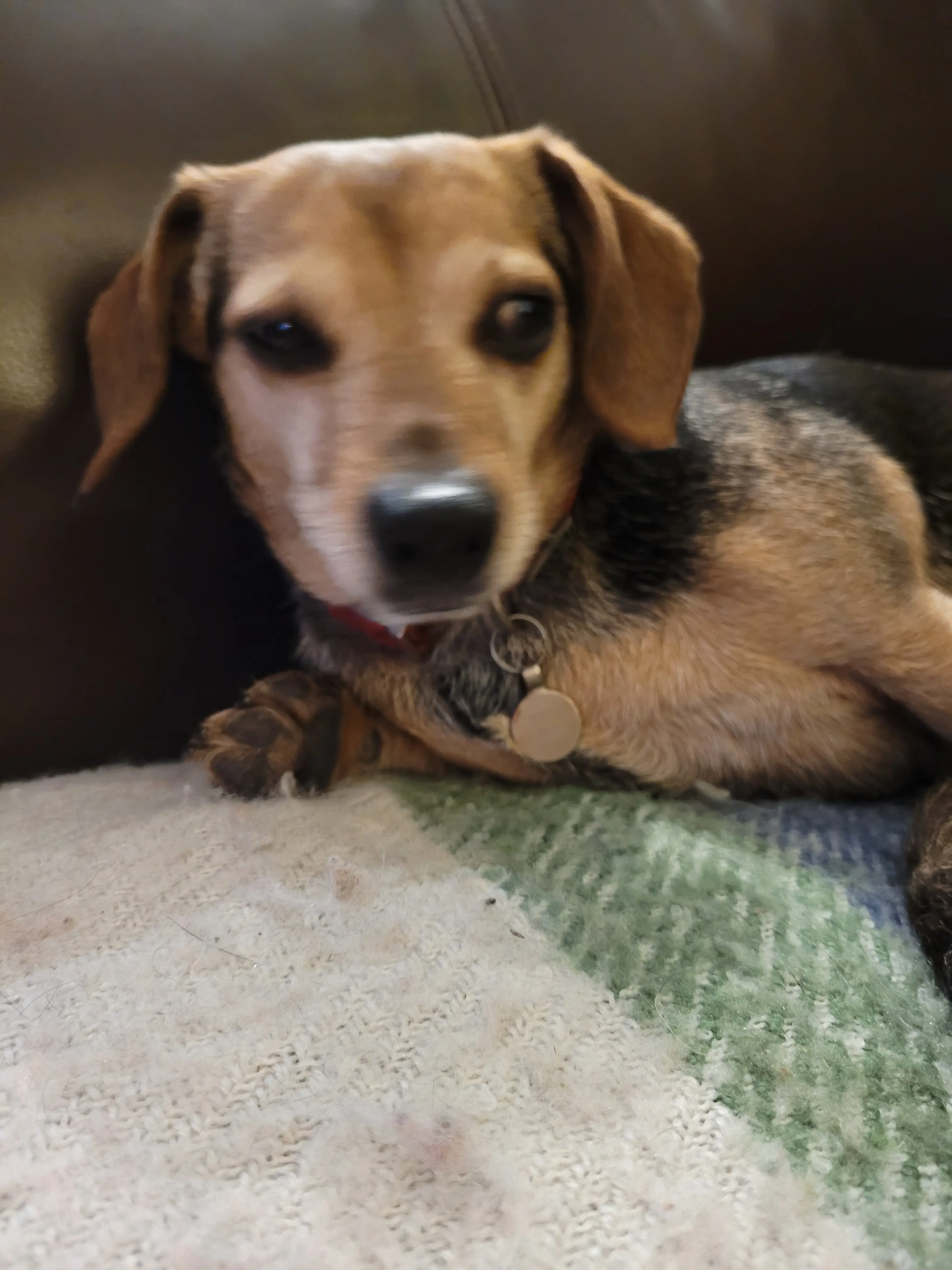 Quatermass profile pic