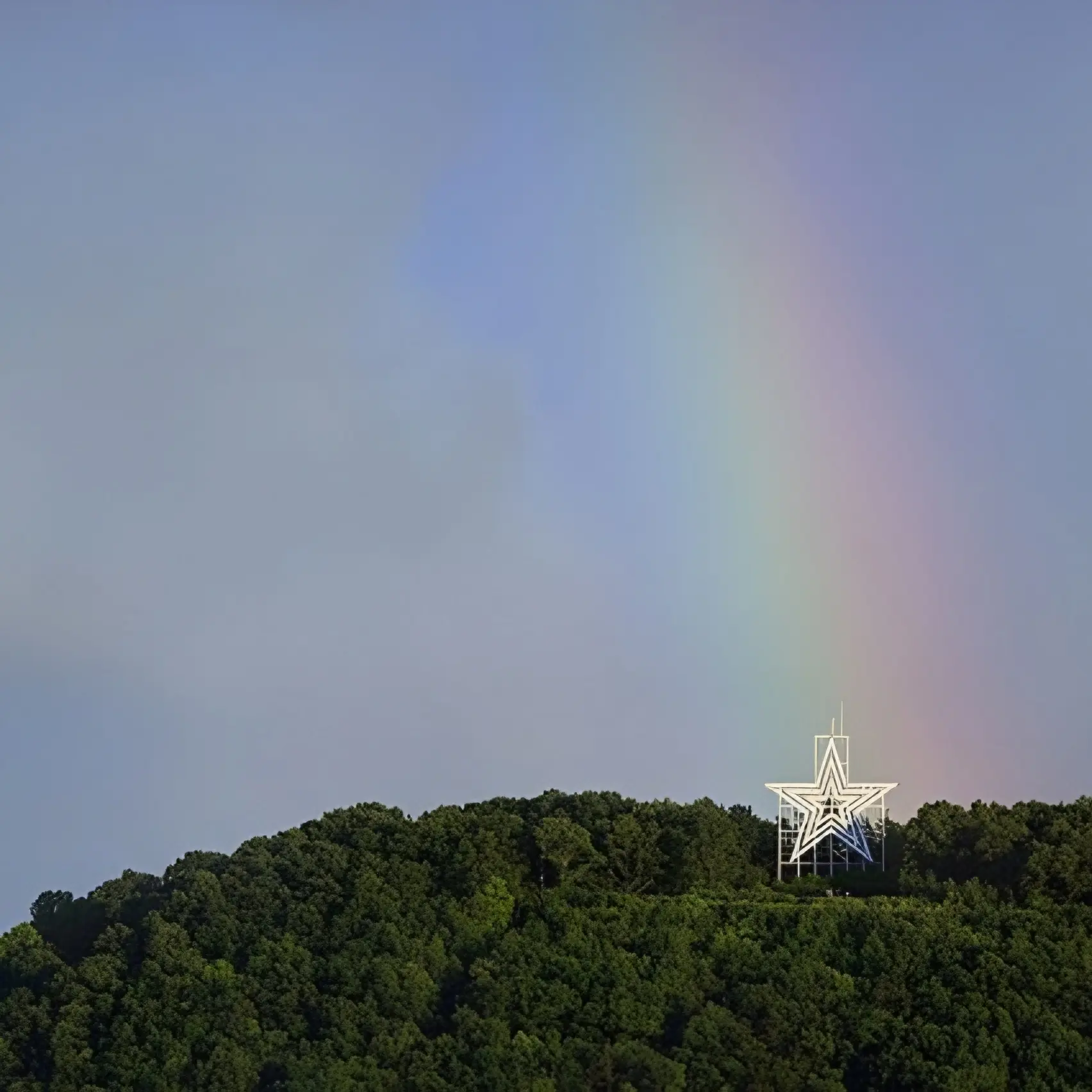 scottobear profile pic