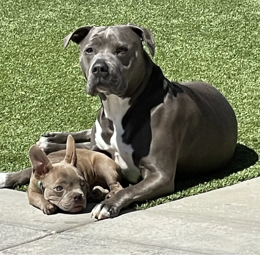 Robyn 📚 profile pic