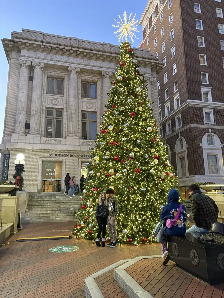 Elizabeth Turner avatar