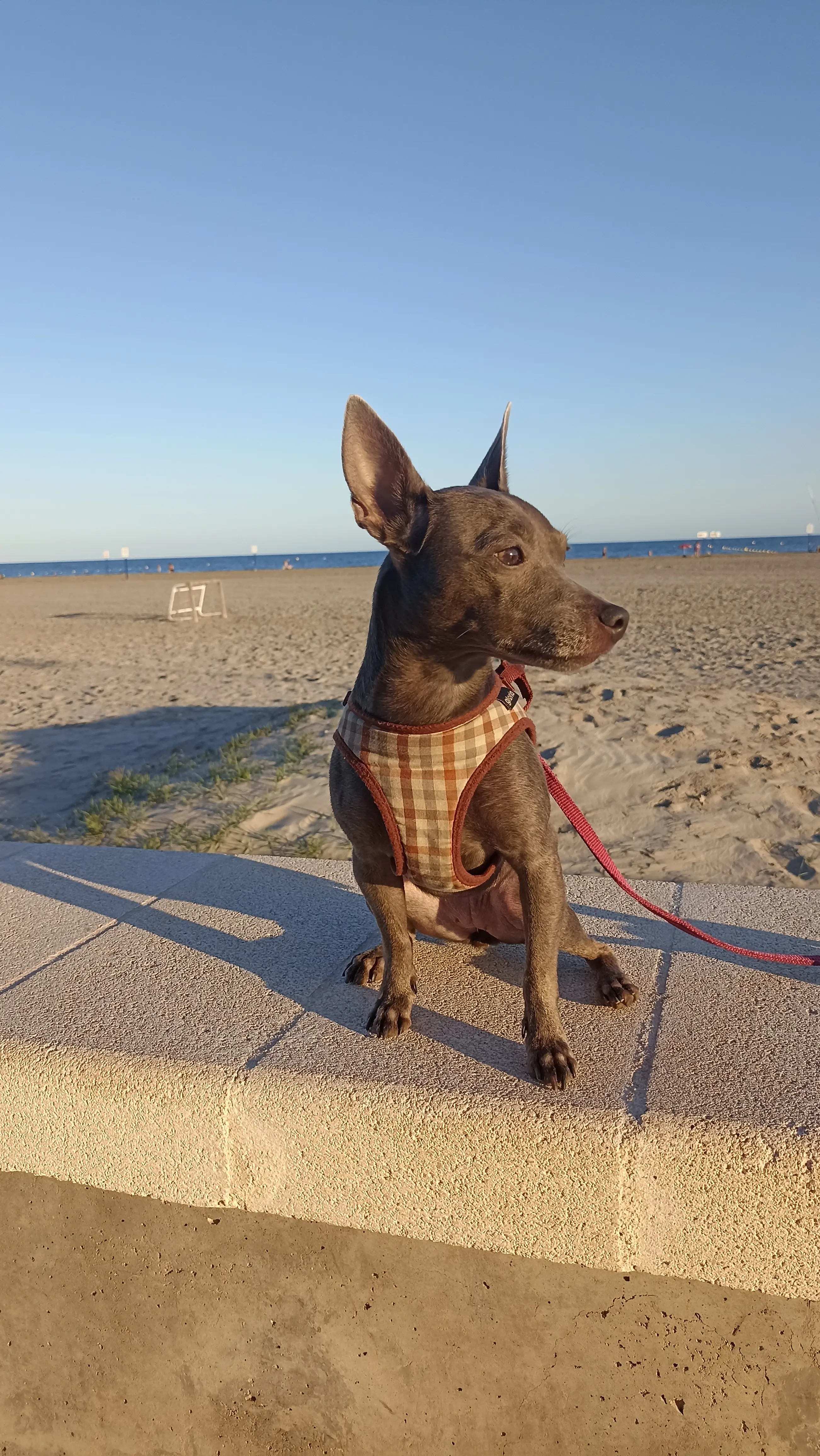 Mar, moderator