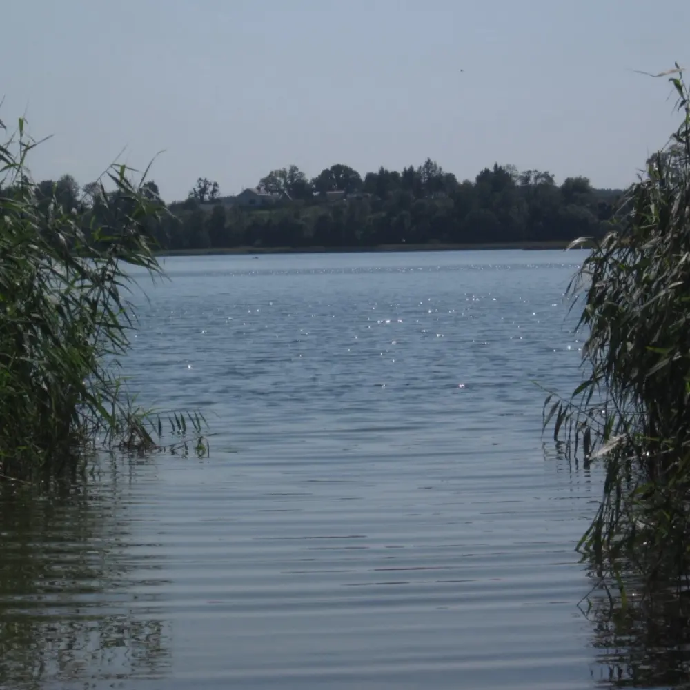 Martyna Sieńska profile pic