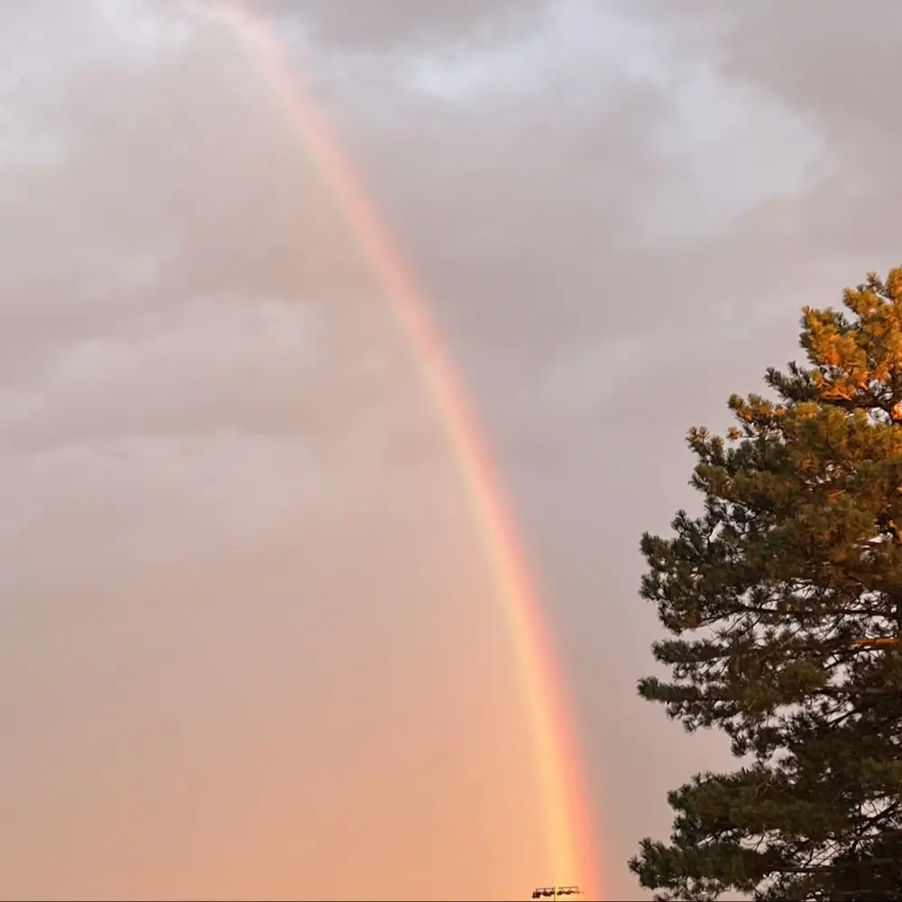 Laura Horn profile pic