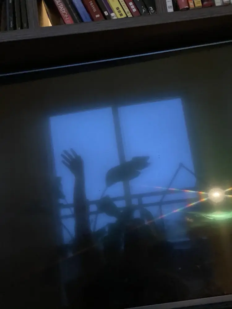 rebeccameyrink profile pic