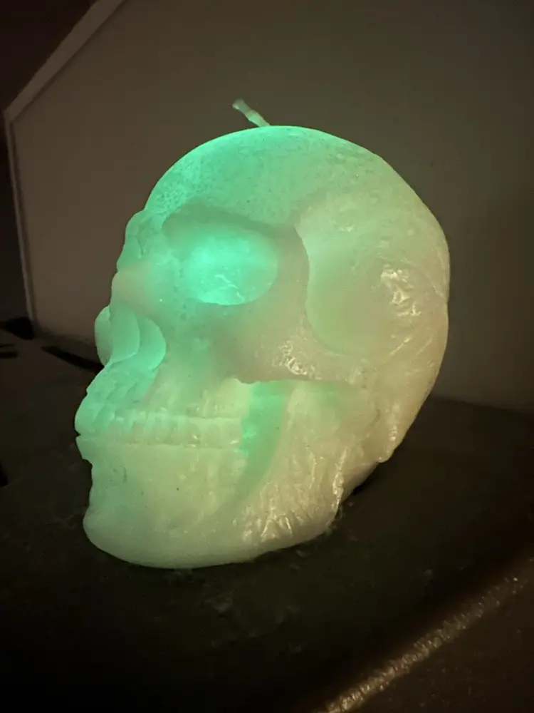 Lissa Cameron profile pic