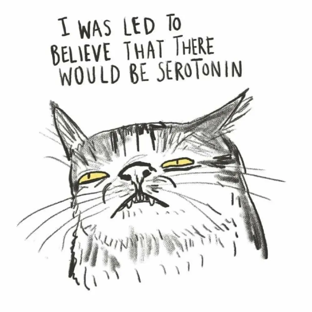 Amrutha Killada profile pic