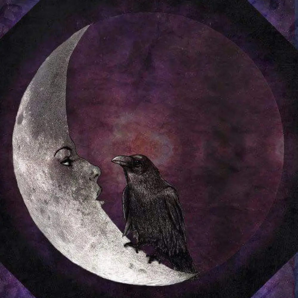 atlas 💫 profile pic