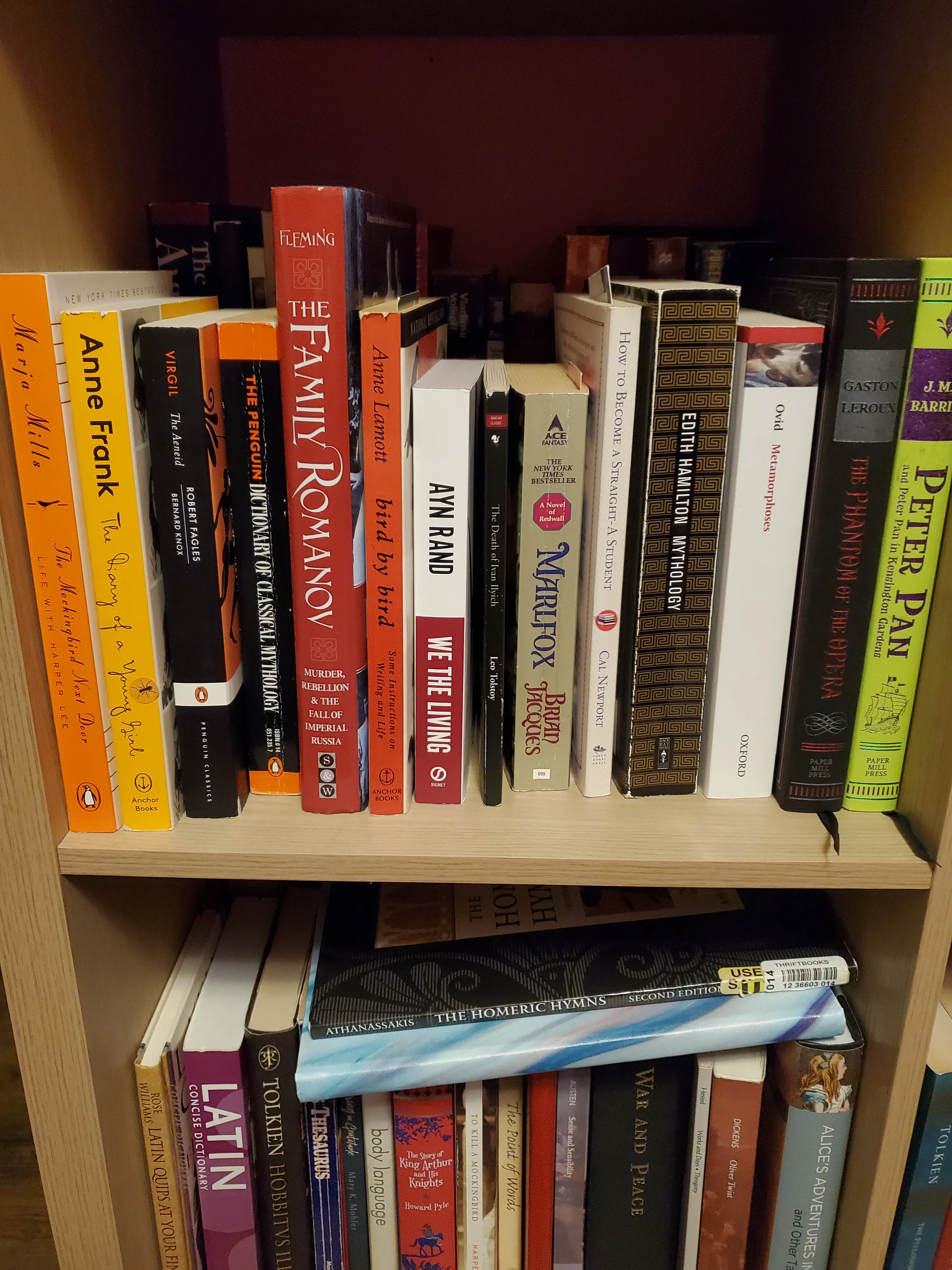 Cate VanNostrand profile pic