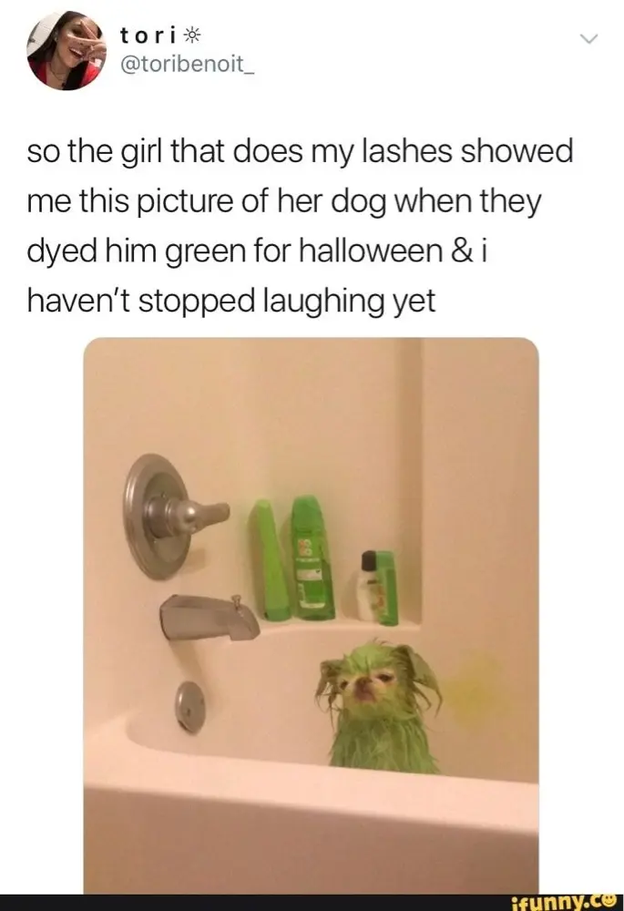 Anaggressivefish profile pic