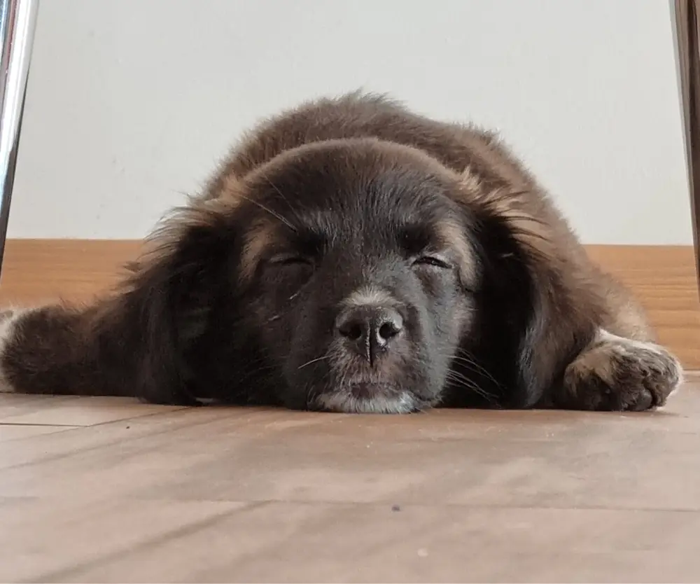 Monica Alvarez avatar