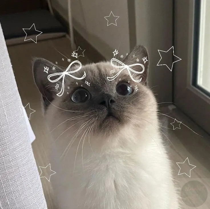 Aria avatar