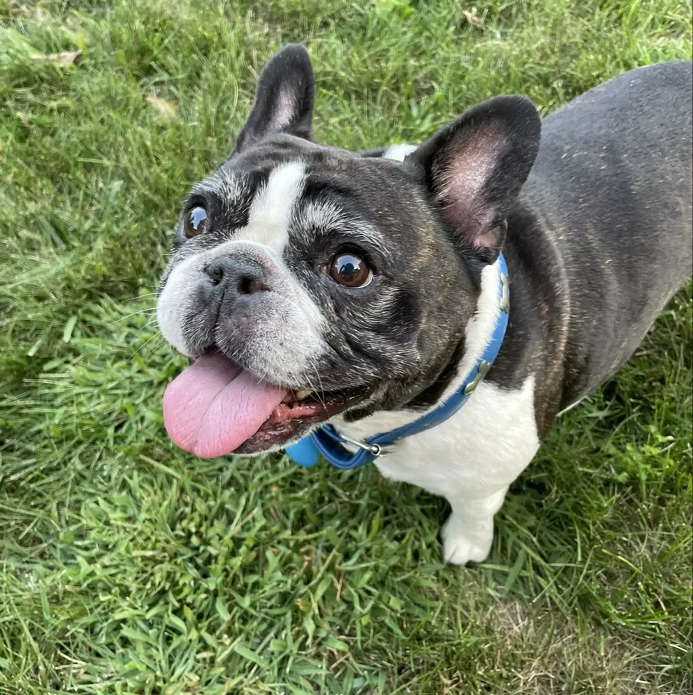 Greg Wangler profile pic