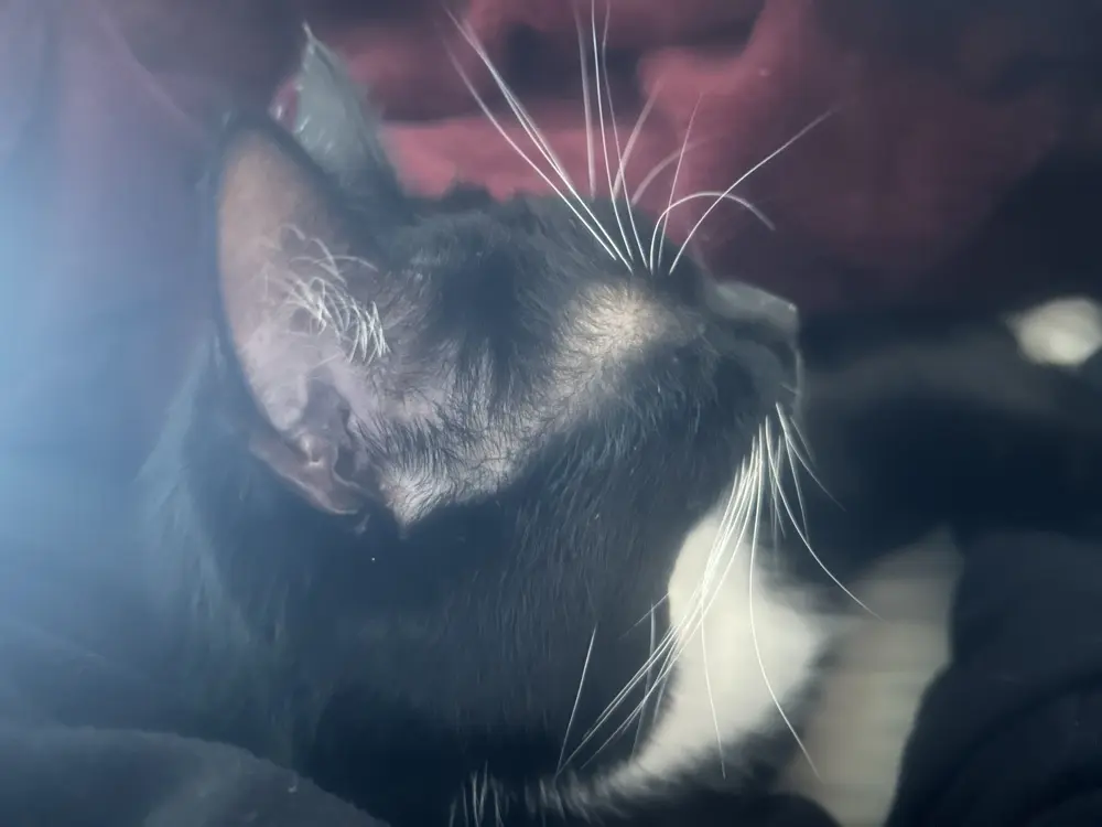 A Mother’s Musings Sunderland avatar