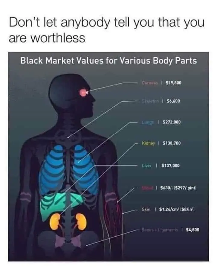 Lilah Chesne-Williams profile pic