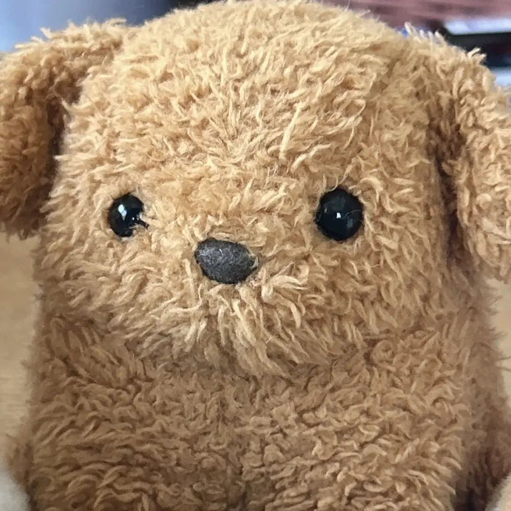 Ginny Woo profile pic