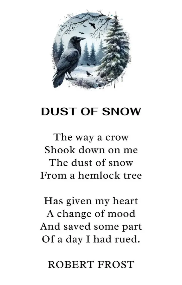 Eyerisheyes profile pic