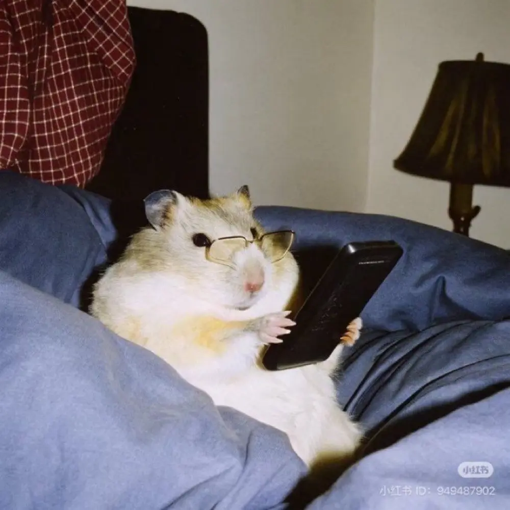 Shlby3ft profile pic