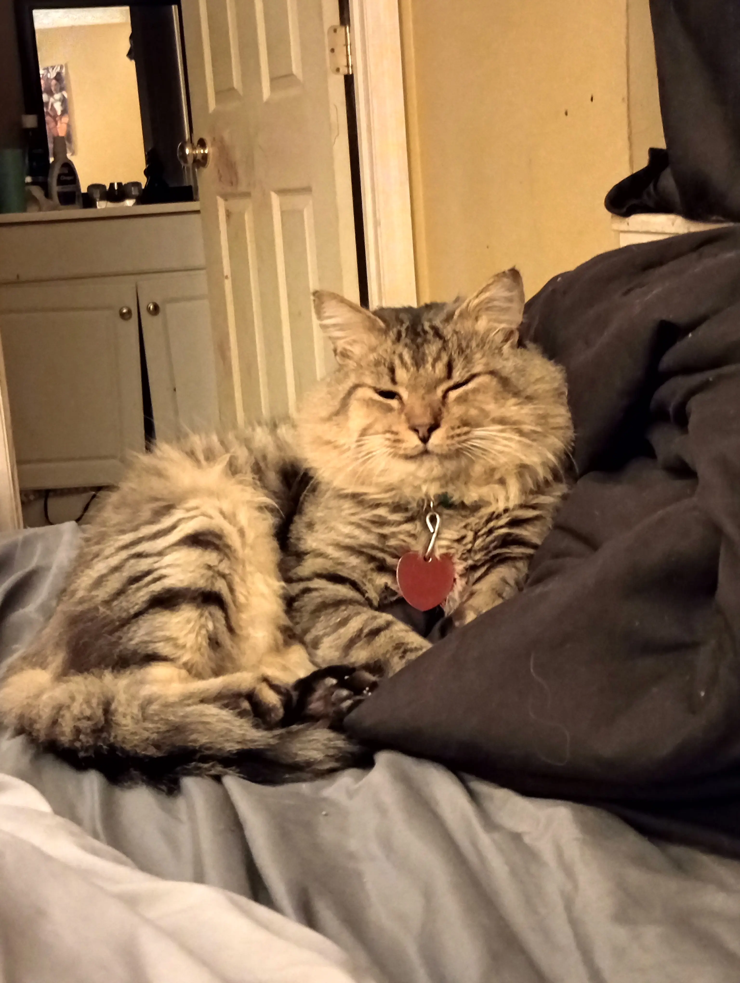 The Cat Lady 1995 profile pic