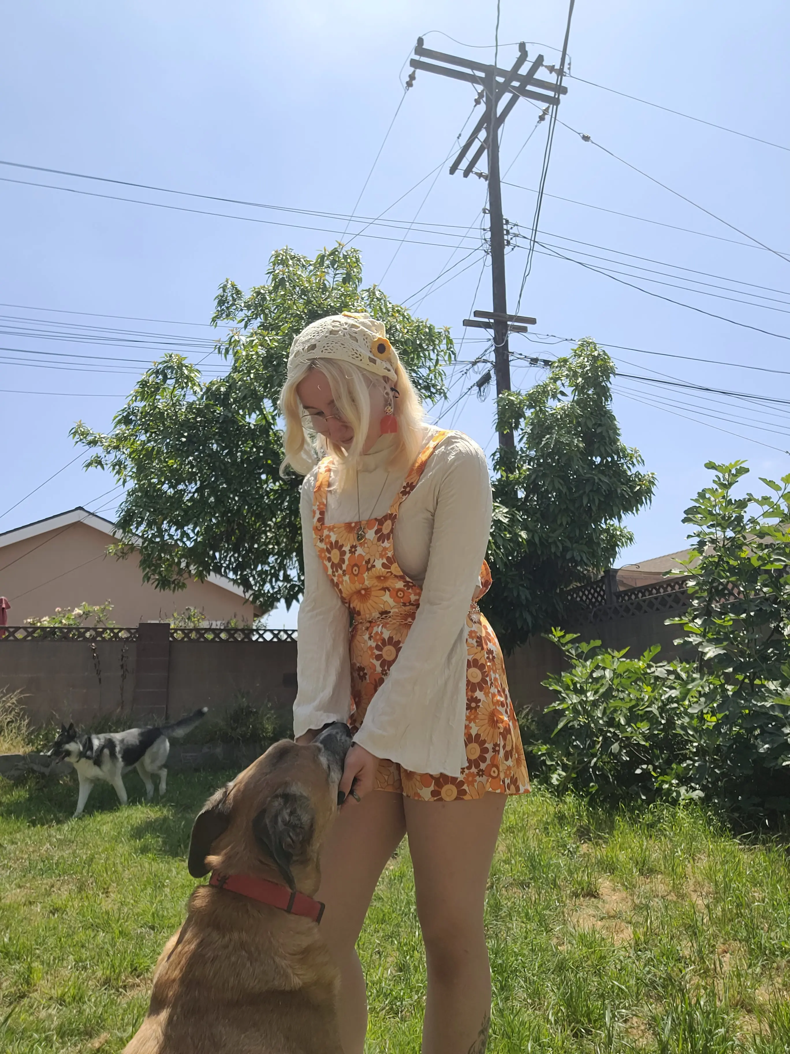 Johnny Rabbit profile pic