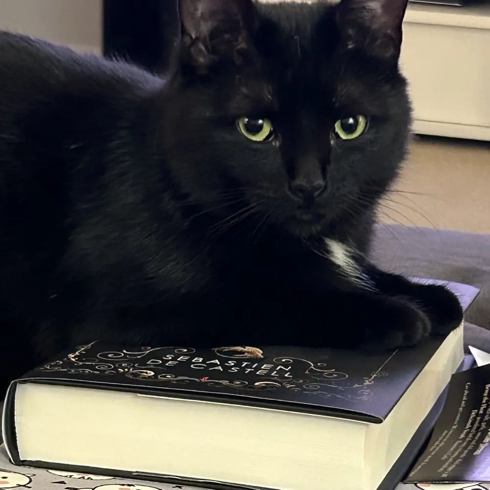 Jennifer Murray profile pic