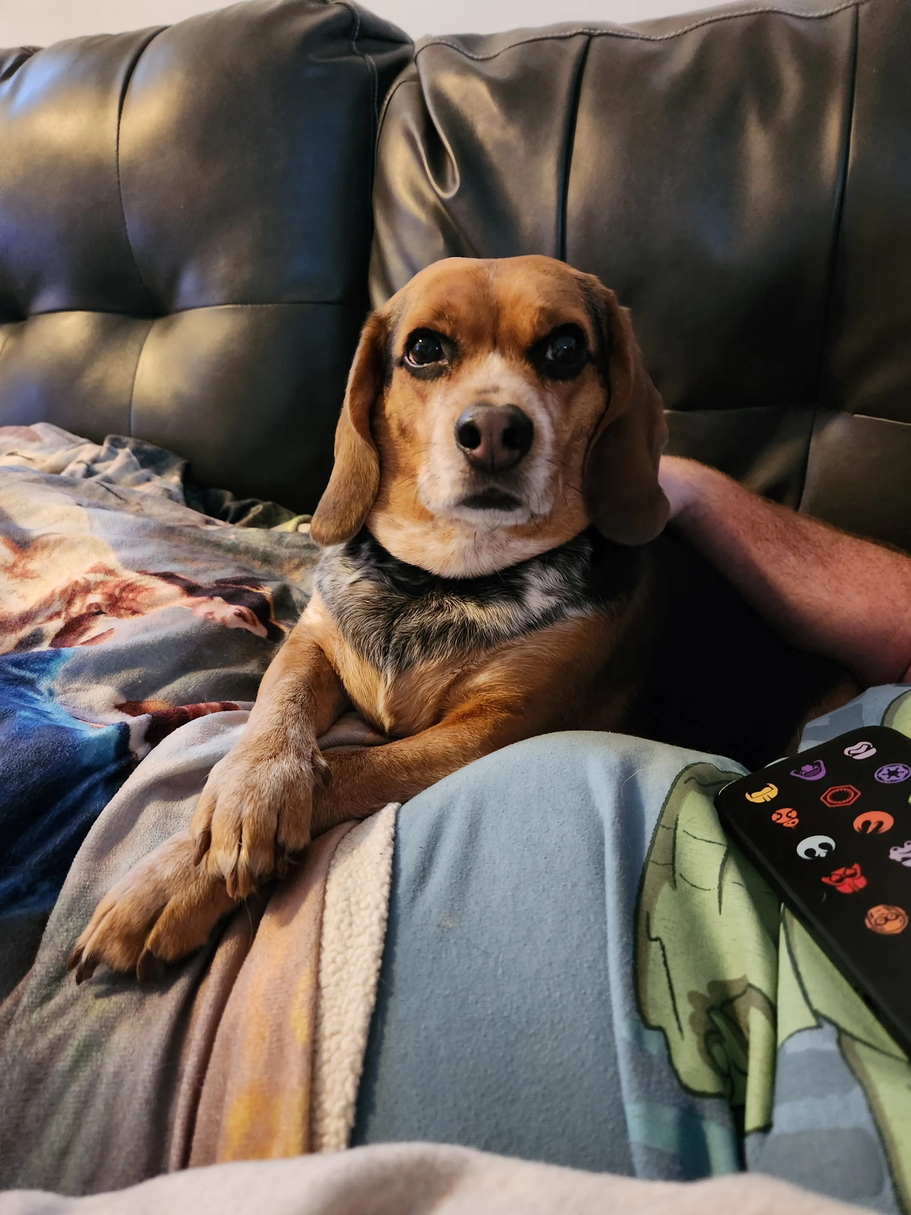 studioeastrat profile pic