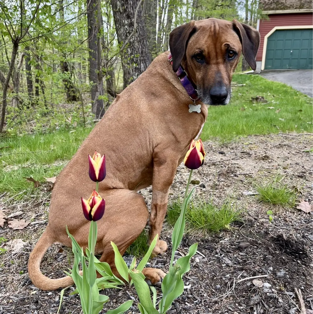 Paula Louise profile pic