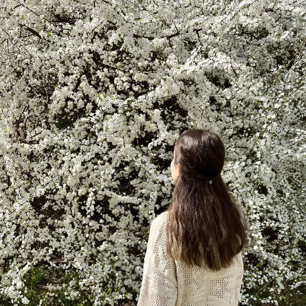 ✨lettie✨ profile pic