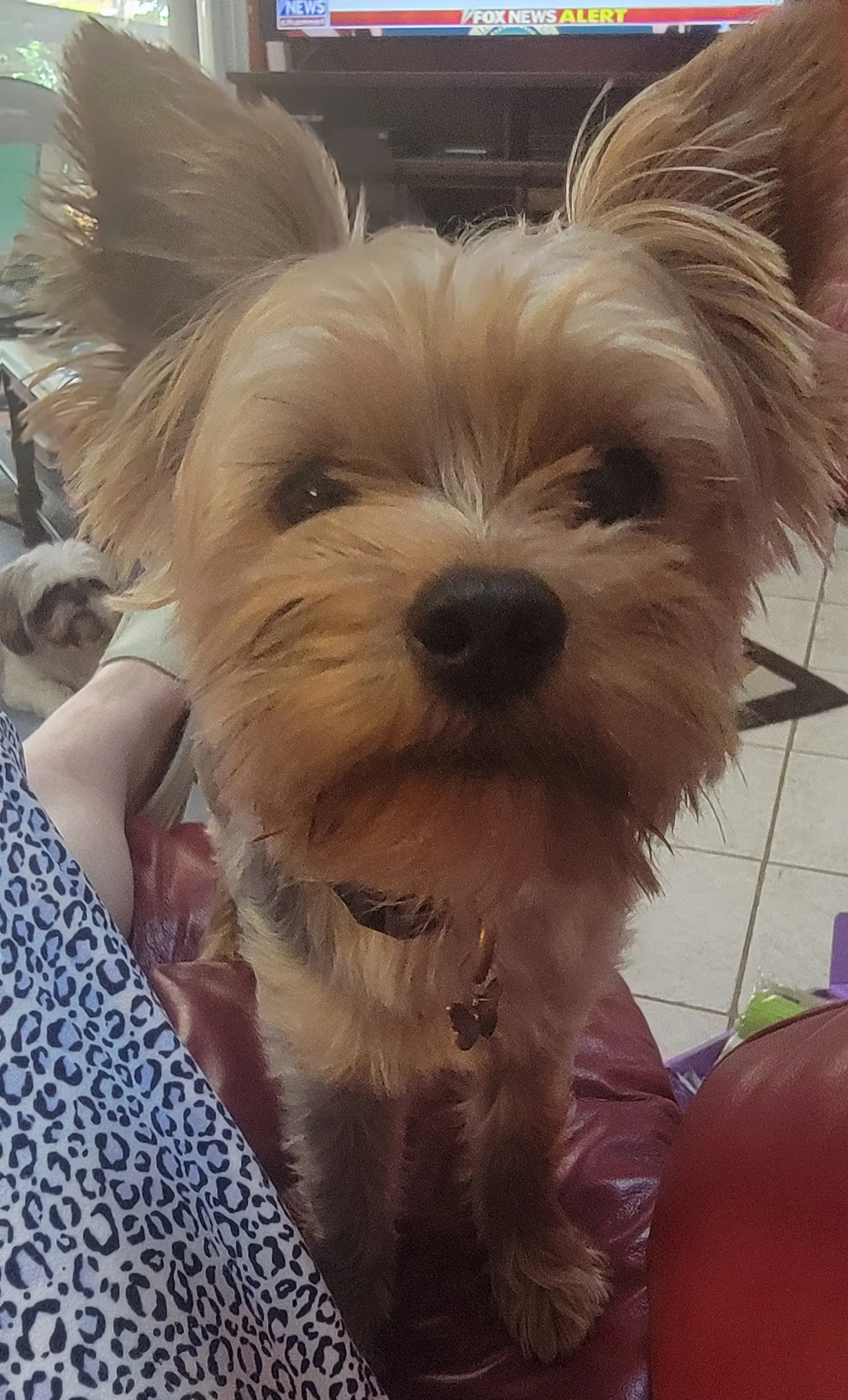 Christine profile pic