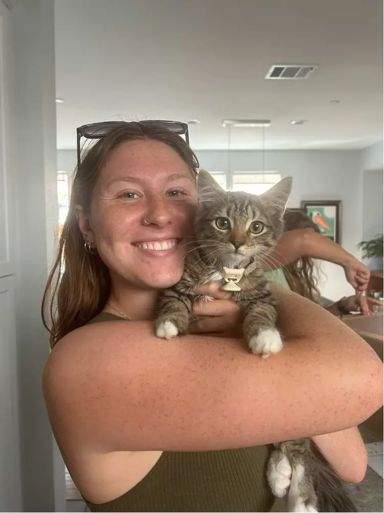 kaibrandtt profile pic