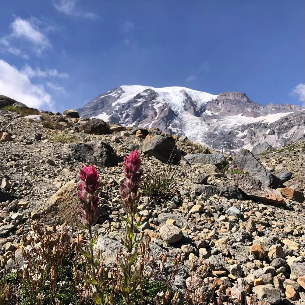 Sharon Coward profile pic