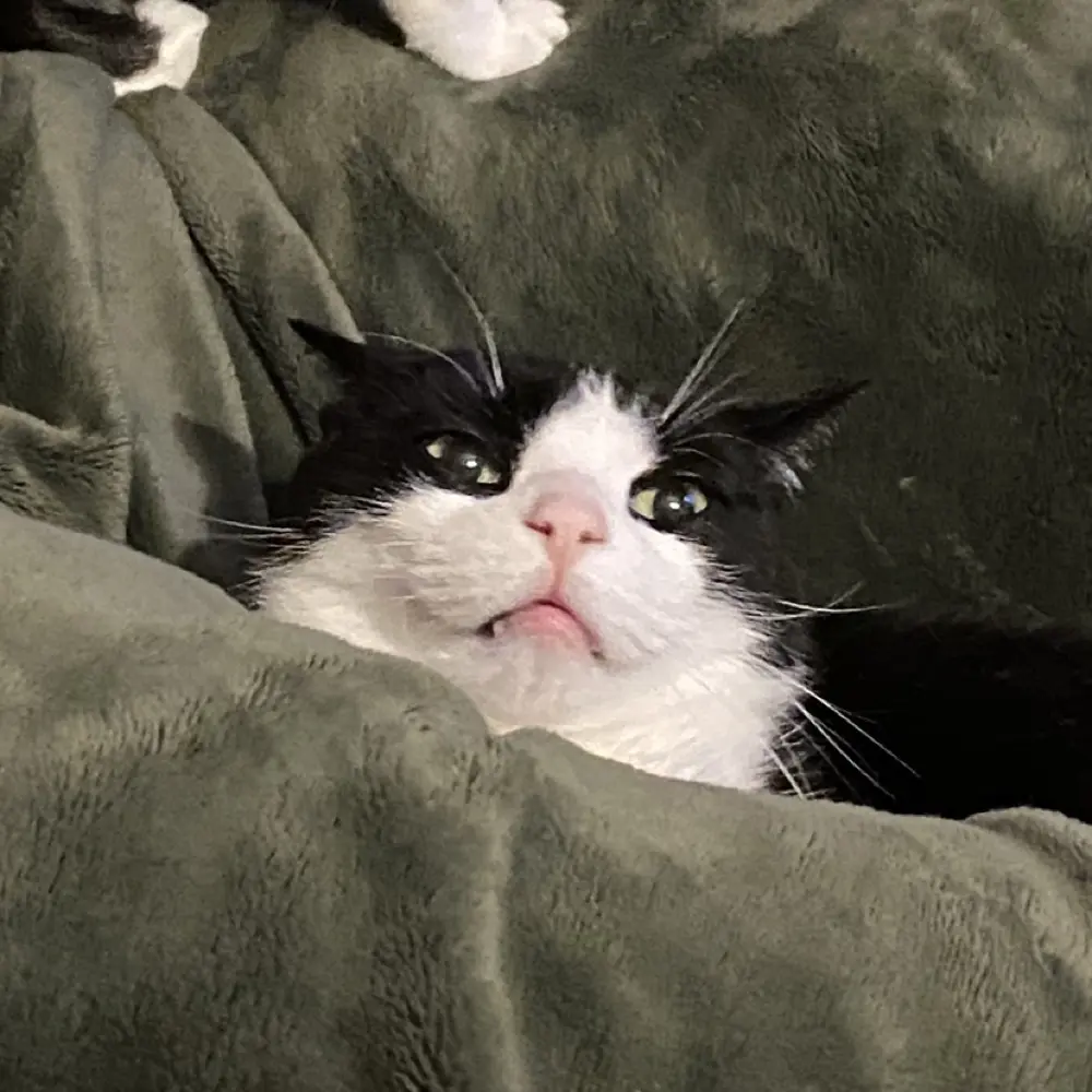 Kelsey H profile pic