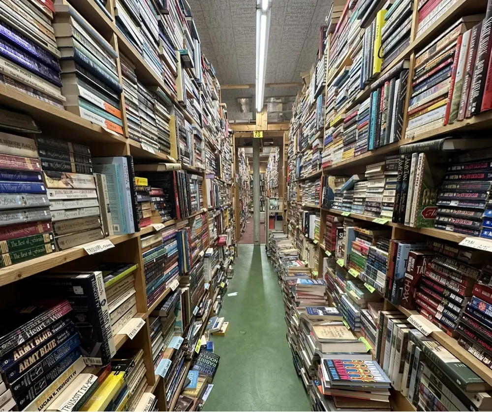 Madi Spencer profile pic