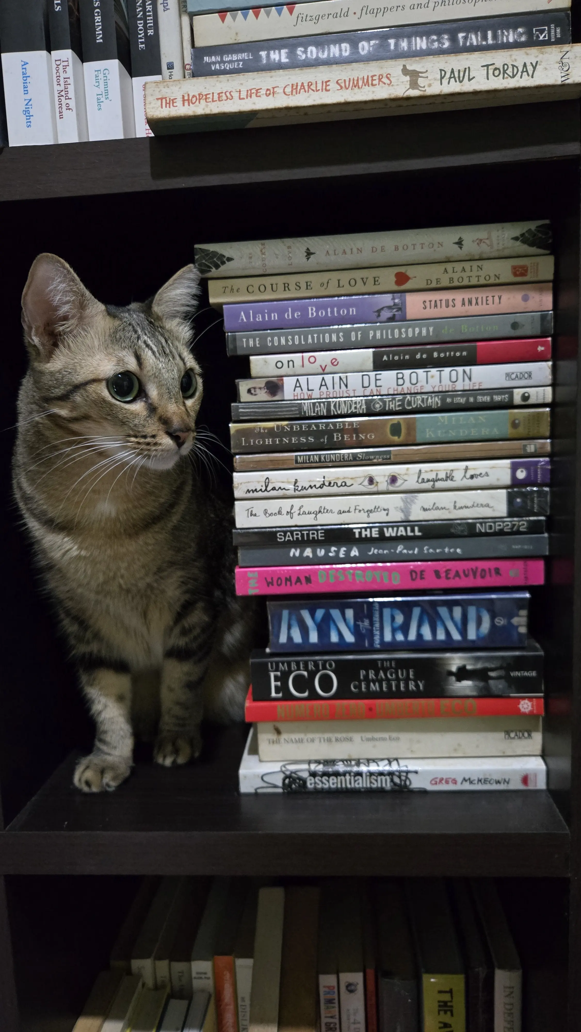 CC ✨️ profile pic