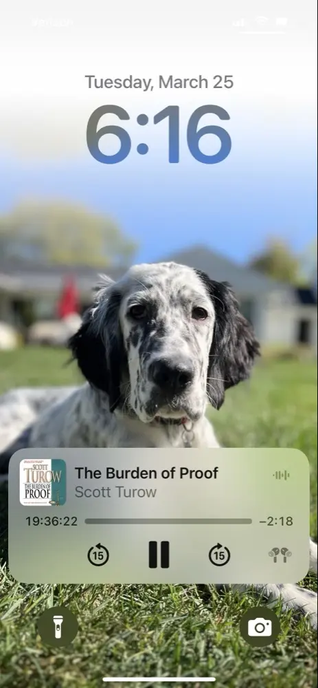 Mike Lewis profile pic