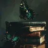 A Bookish Butterfly 🦋 Avatar