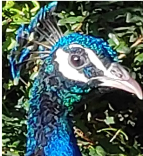 EstelleLiterature profile pic