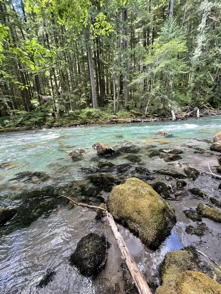 Jayden Pepperdine profile pic