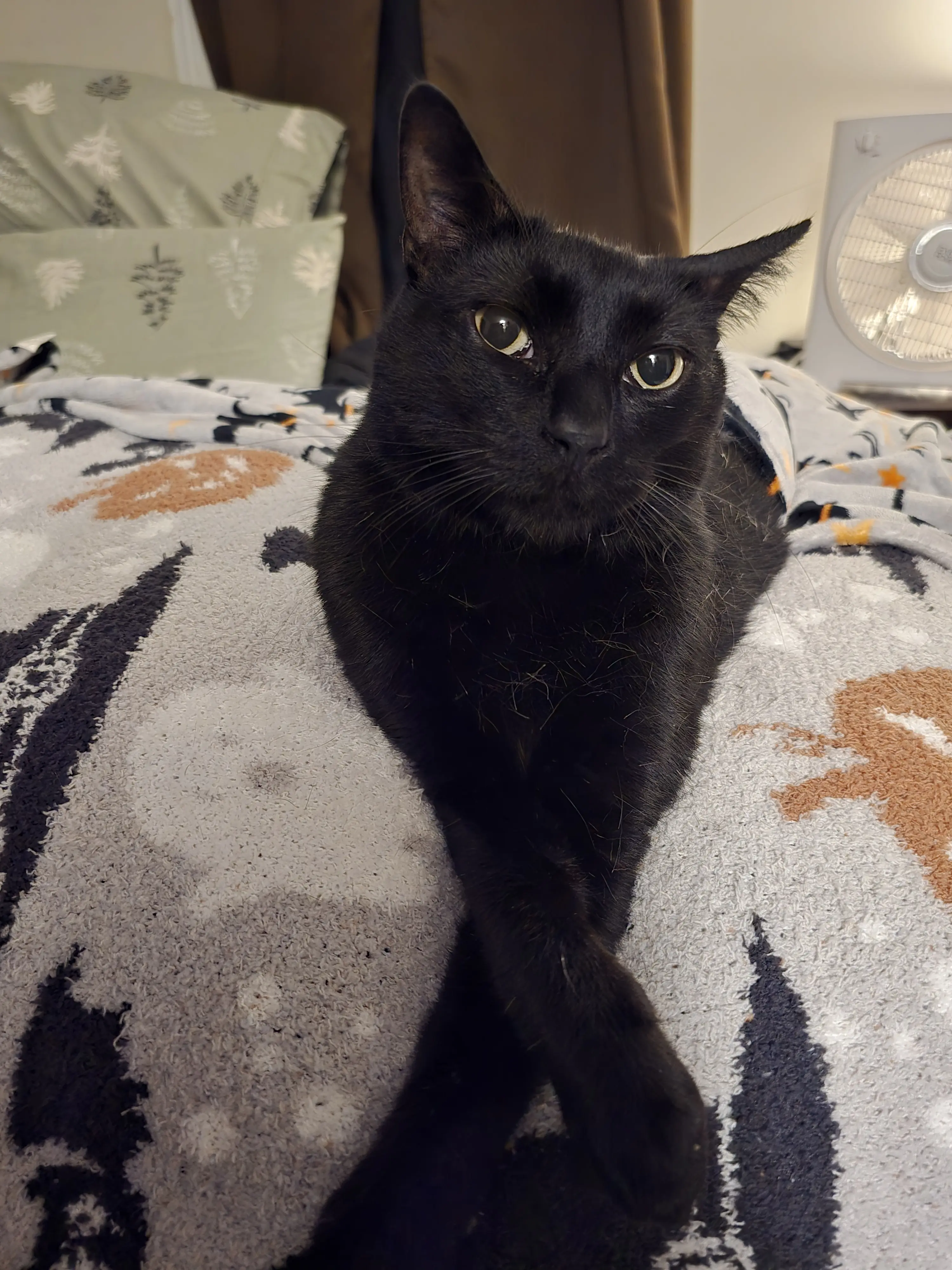 Leesaloo profile pic