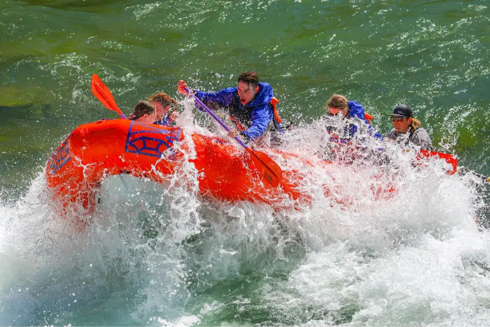 Chris Draper profile pic