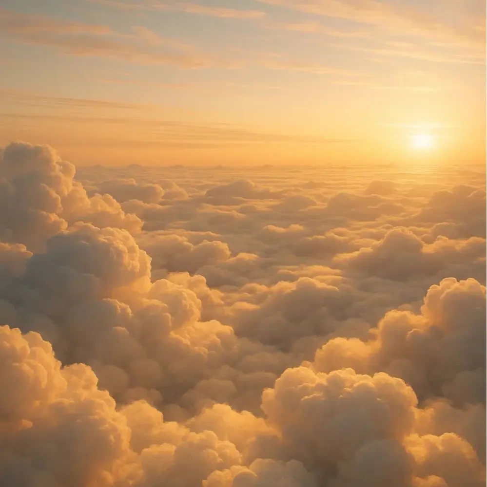 Maddy Bradigan profile pic