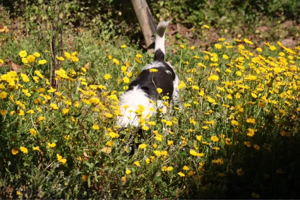 ACristina profile pic