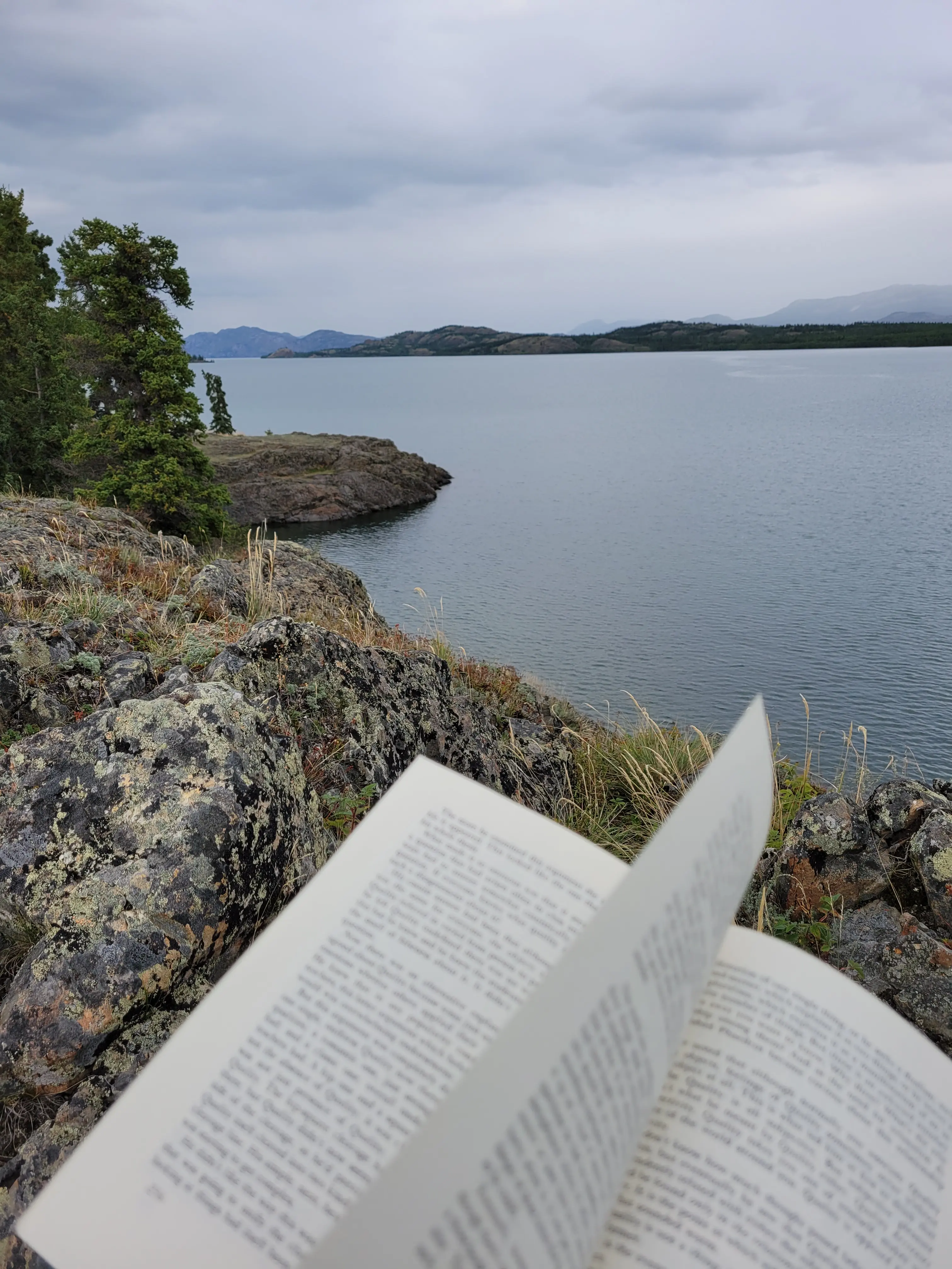 Qughes Ellis profile pic