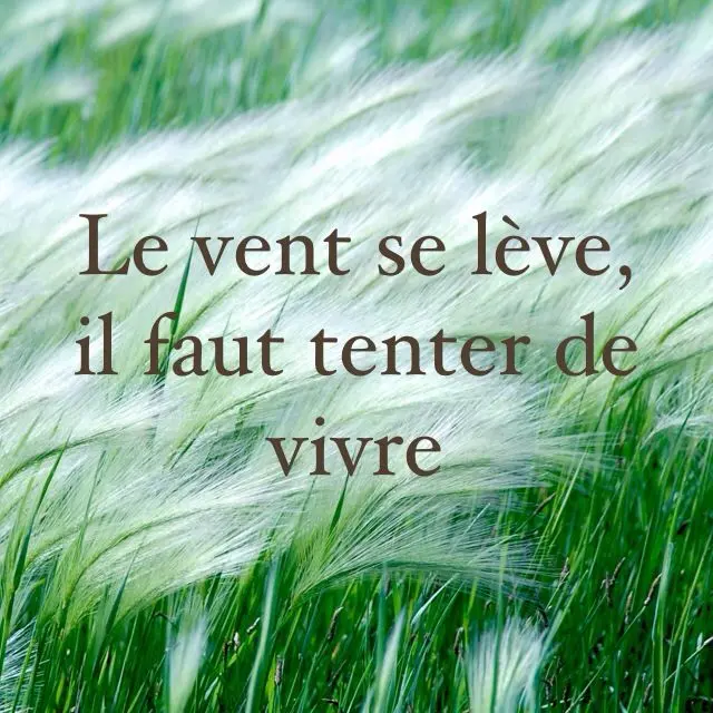 NelNovelty profile pic