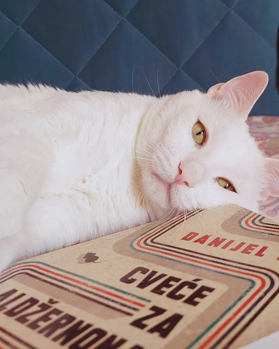 lifewith_petsandbooks profile pic