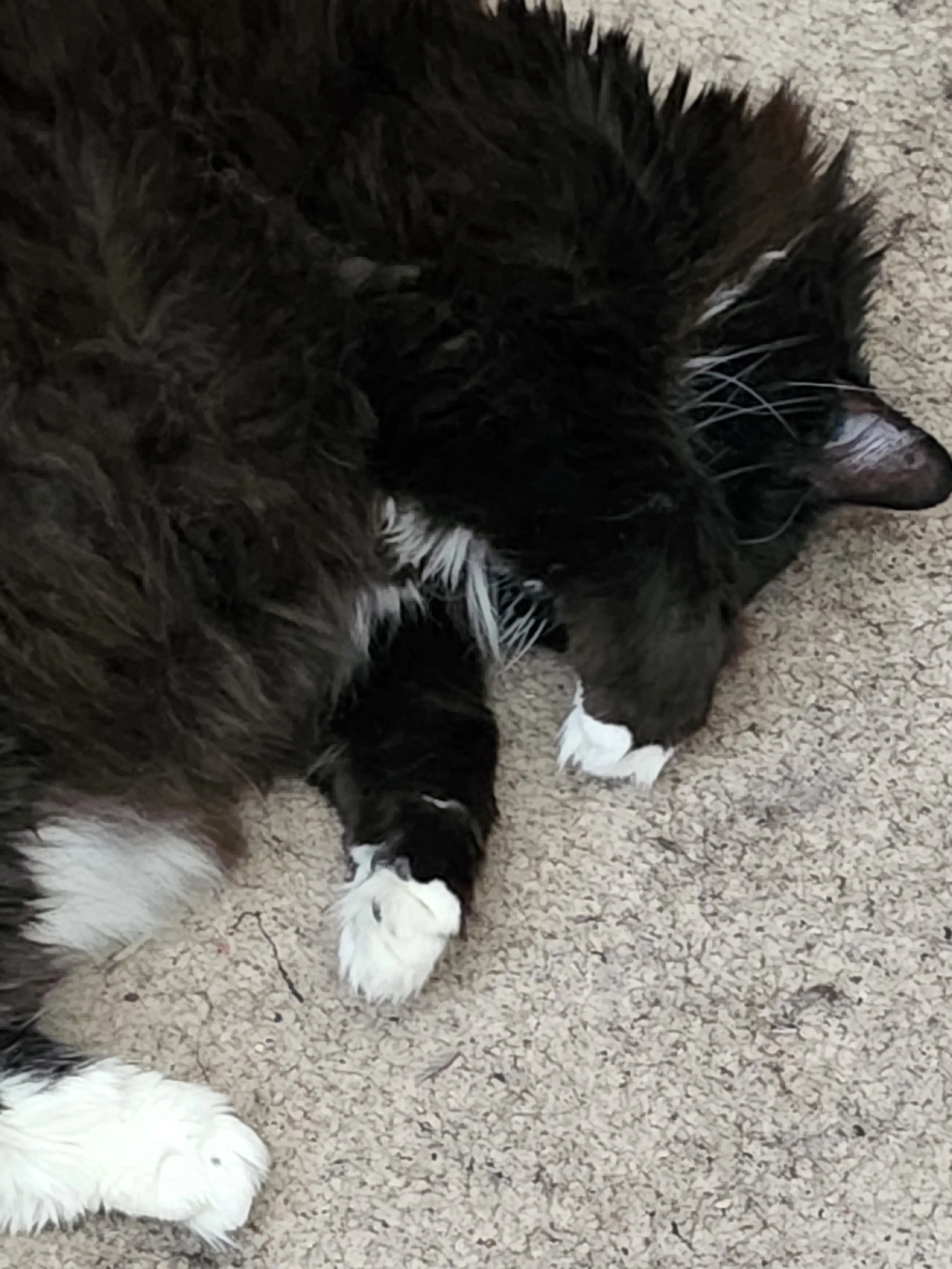 Jill Rebryna profile pic